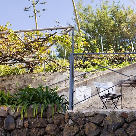 Ek Las Vistas Finca El Milagro ラ・オロタバ エクステリア 写真