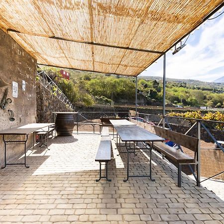Ek Las Vistas Finca El Milagro ラ・オロタバ エクステリア 写真