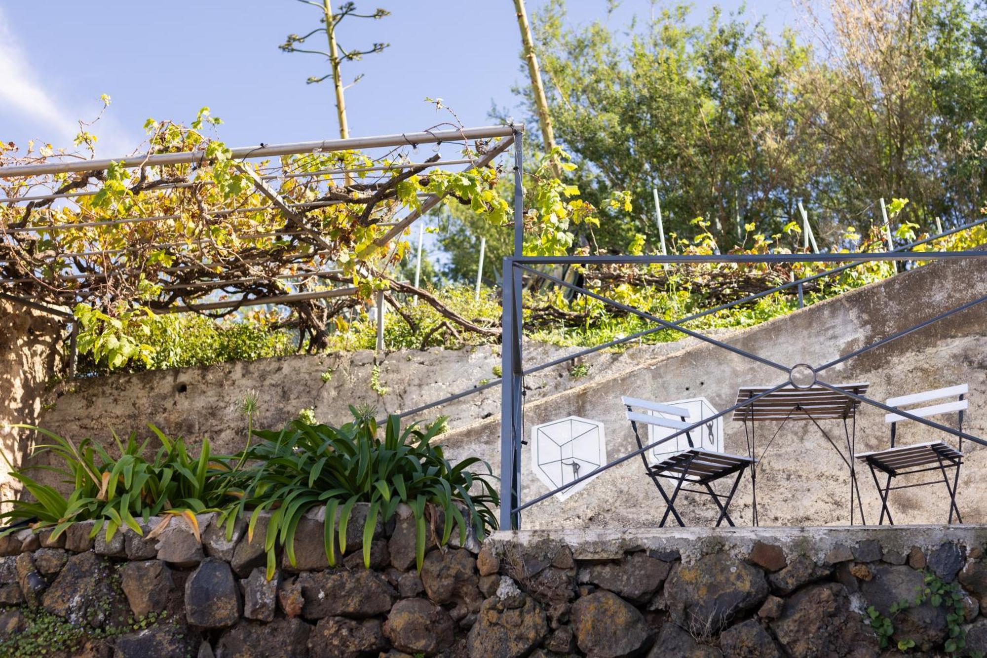 Ek Las Vistas Finca El Milagro ラ・オロタバ エクステリア 写真