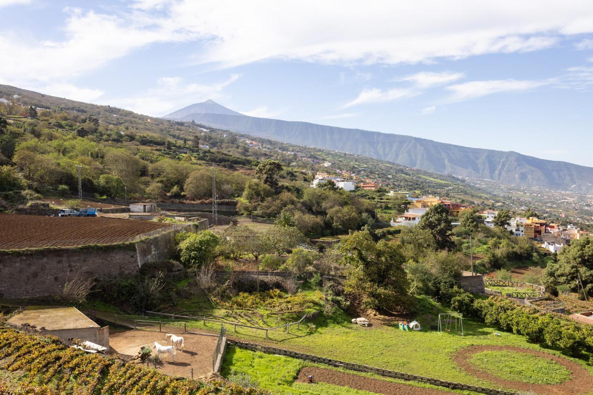 Ek Las Vistas Finca El Milagro ラ・オロタバ エクステリア 写真
