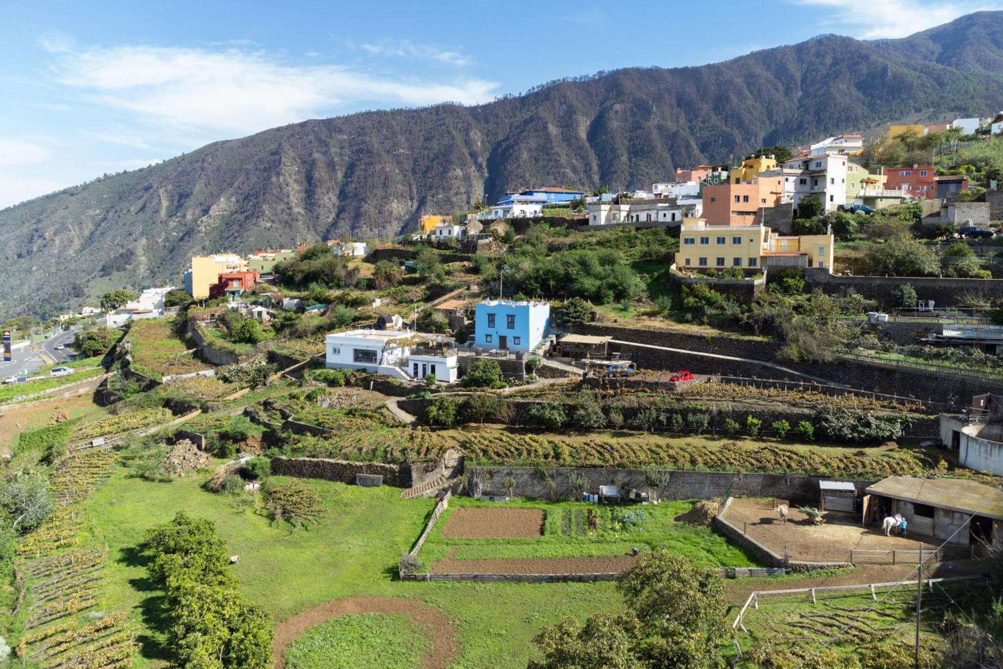 Ek Las Vistas Finca El Milagro ラ・オロタバ エクステリア 写真