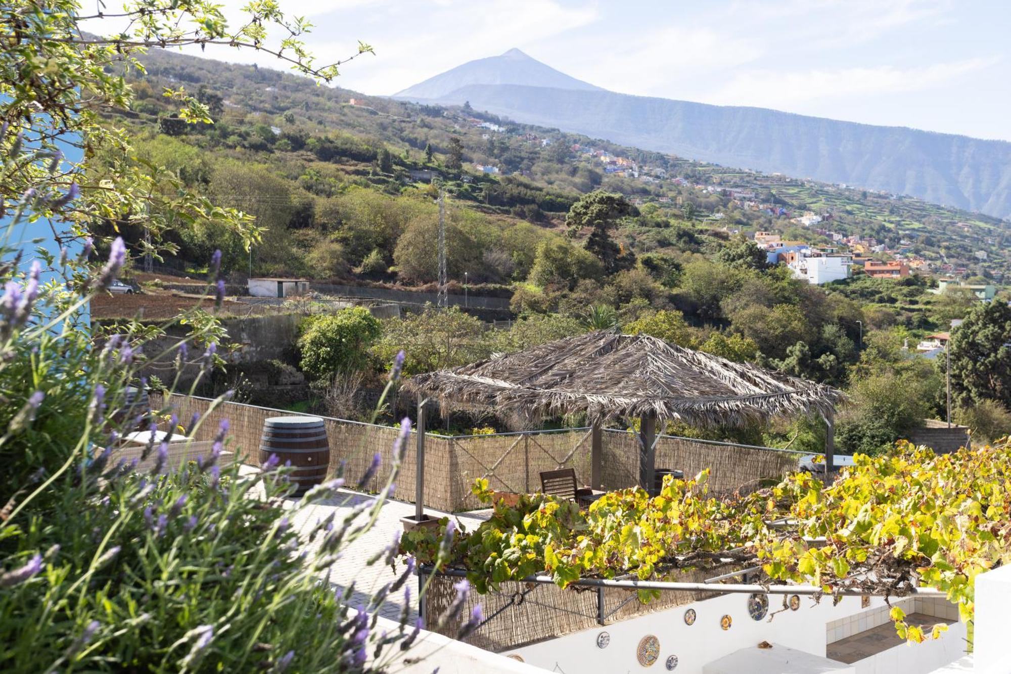 Ek Las Vistas Finca El Milagro ラ・オロタバ エクステリア 写真