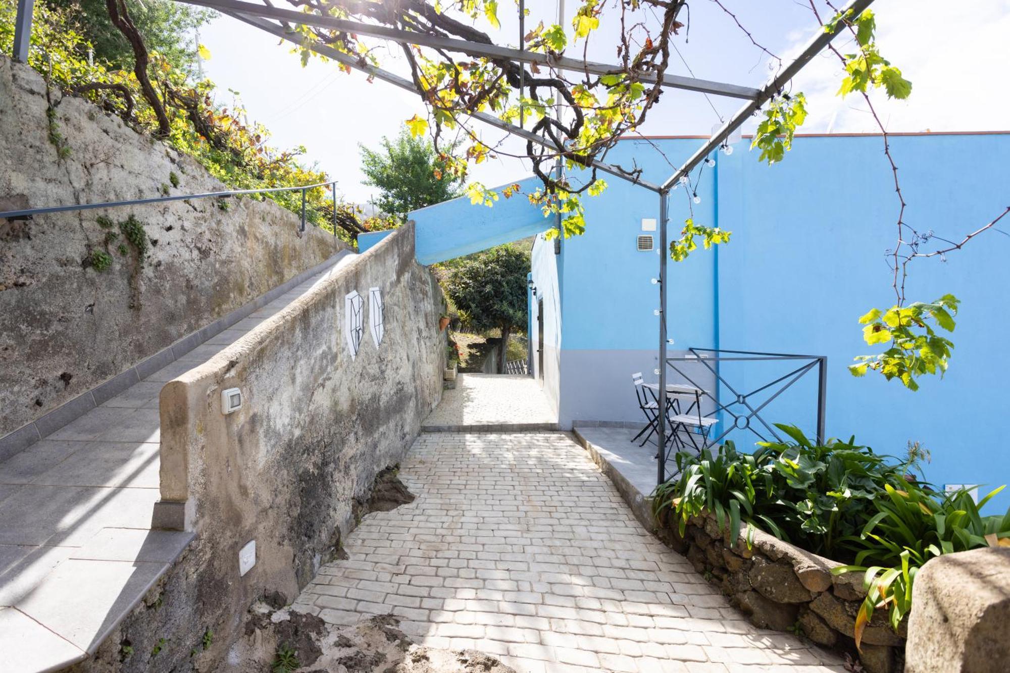 Ek Las Vistas Finca El Milagro ラ・オロタバ エクステリア 写真